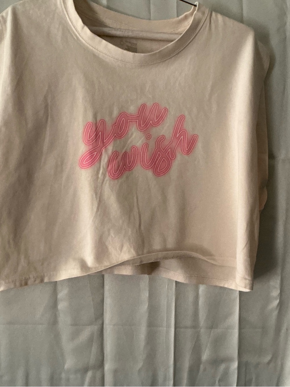 aerie Light Pink Cropped Tee with Pink "you wish" Script